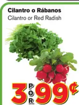 El Super Fresh Cilantro or Red Radish offer