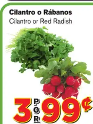 El Super Fresh Cilantro or Red Radish offer