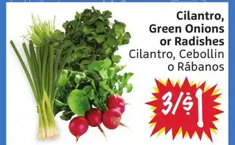 Foodmaxx Cilantro, Green Onions or Radishes offer