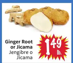 Foodmaxx Ginger Root or Jicama offer