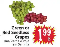 Foodmaxx Green or Red Seedless Grapes offer