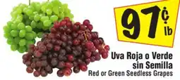 El Super Red or Green Seedless Grapes offer