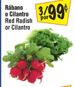 El Super Red Radish or Cilantro offer