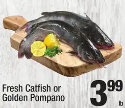 Super King Markets Fresh Catfish or Golden Pompano offer