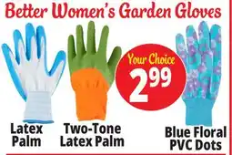 Ocean State Job Lot Garden Grove Womens Gloves offer