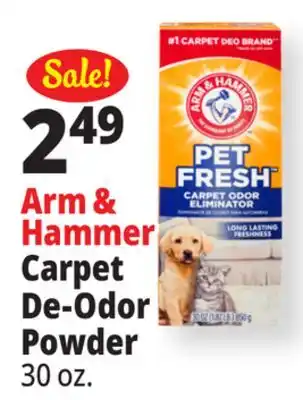 Ocean State Job Lot Arm & Hammer Carpet De-Odor Powder offer