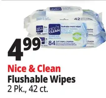 Ocean State Job Lot Nice & Clean Flushable Wipes offer