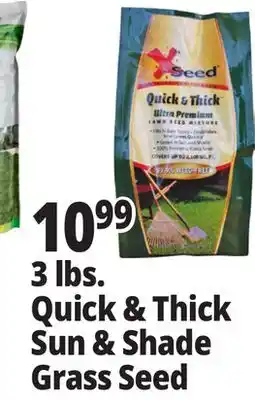 Ocean State Job Lot 3 lbs. Quick & Thick Sun & Shade Grass Seed offer