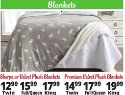 Ocean State Job Lot Blankets offer