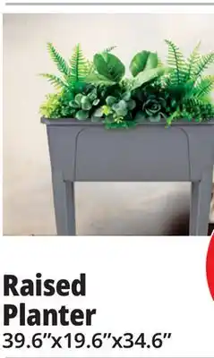 Ocean State Job Lot Raised Planter offer