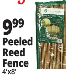 Ocean State Job Lot Gardenpath Peeled and Polished Reed Fencing 8' offer