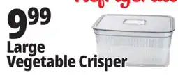 Ocean State Job Lot Large Produce Crisper with Removable Basket 5.9 Qt offer