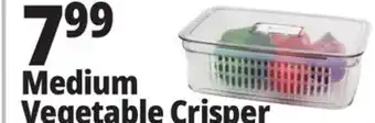 Ocean State Job Lot Medium Vegetable Crisper offer