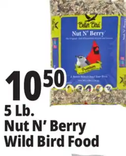 Ocean State Job Lot Better Bird Premium Nut N' Berry Bird Food 5 lbs offer