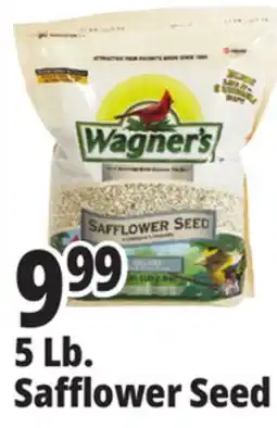 Ocean State Job Lot Wagner's Safflower Seed Deluxe Wild Bird Food offer