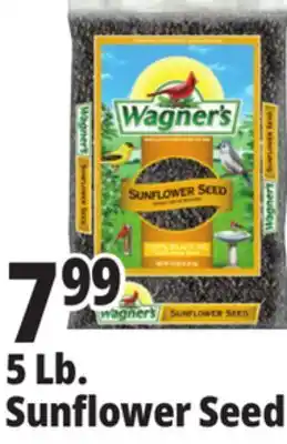 Ocean State Job Lot Wagner's Black Oil Sunflower Seed Wild Bird Food 5 lbs offer