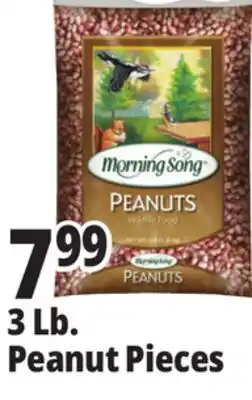 Ocean State Job Lot Morning Song Wildlife Food Peanuts 3 lbs offer