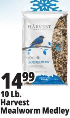 Ocean State Job Lot 10 Lb. Harvest Mealworm Medley offer