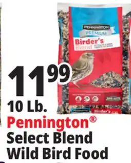 Ocean State Job Lot 10 Lb. Pennington Select Blend Wild Bird Food offer