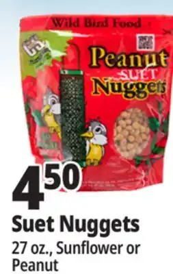 Ocean State Job Lot C&S Sunflower Suet Nuggets 27 oz offer