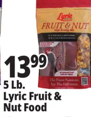 Ocean State Job Lot Lyric Fruit and Nut High Energy Wild Bird Food Mix 5 lbs offer