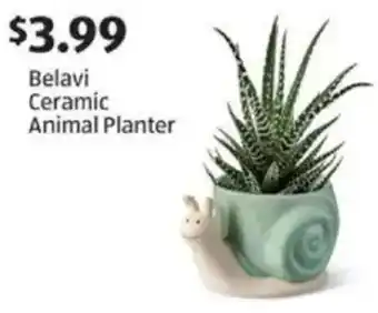 Aldi Belavi Ceramic Animal Planter offer