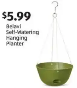 Aldi Belavi Self-Watering Hanging Planter offer