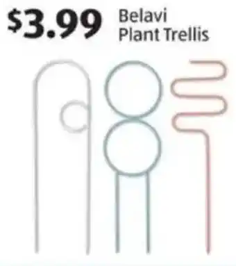 Aldi Plant Trellis Belavi offer