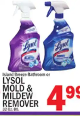 C Town LYSOL MOLD & MILDEW REMOVER offer