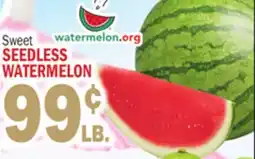 Bravo Supermarkets SEEDLESS WATERMELON offer