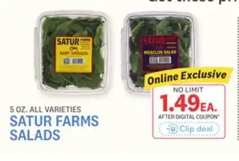 Kings Food Markets SATUR FARMS SALADS offer