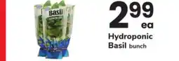 ACME Hydroponic Basil bunch offer