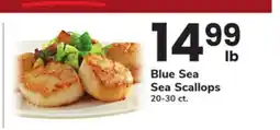 ACME Blue Sea Sea Scallops offer