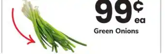 ACME Green Onions offer