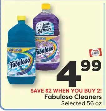 Weis Markets Fabuloso Cleaners offer