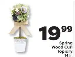 Weis Markets Spring Wood Curl Topiary offer