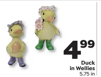 Weis Markets Duck in Wellies offer