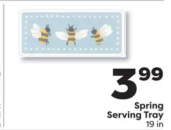 Weis Markets Spring Serving Tray offer