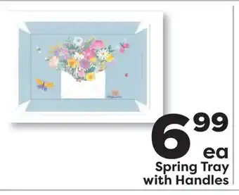 Weis Markets Spring Tray with Handles offer