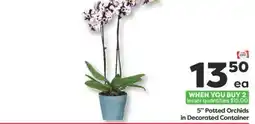 Weis Markets 5 Potted Orchids in Decorated Container offer