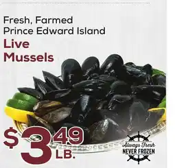 DeCicco & Sons Live Mussels offer