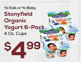 DeCicco & Sons Stonyfield Organic Yogurt 6-Pack offer