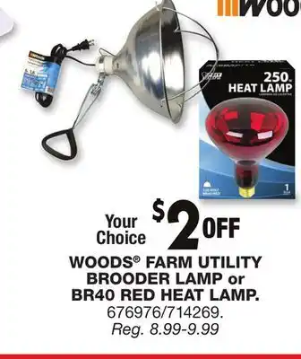 Blain's Farm & Fleet WOODS FARM UTILITY BROODER LAMP or BR40 RED HEAT LAMP offer