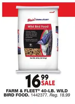 Blain's Farm & Fleet FARM & FLEET 40-LB. WILD BIRD FOOD offer