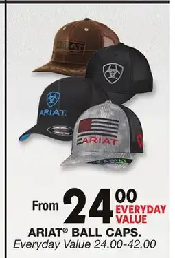 Blain's Farm & Fleet ARIAT BALL CAPS offer