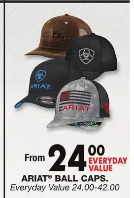 Blain's Farm & Fleet ARIAT BALL CAPS offer