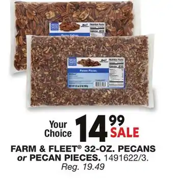 Blain's Farm & Fleet FARM & FLEET 32-OZ. PECANS or PECANS PIECES offer