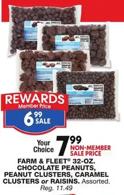 Blain's Farm & Fleet FARM & FLEET 32-OZ. CHOCOLATE PEANUTS, PEANUT CLUSTERS, CARAMEL CLUSTERS or RAISINS offer