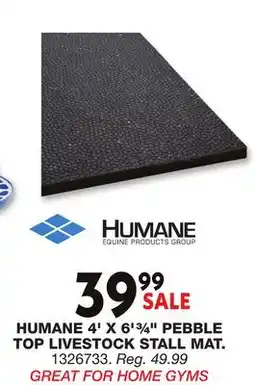 Blain's Farm & Fleet HUMANE 4' X 6'¾ PEBBLE TOP LIVESTOCK STALL MAT offer