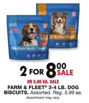 Blain's Farm & Fleet FARM & FLEET 3-4 LB. DOG. BISCUITS offer